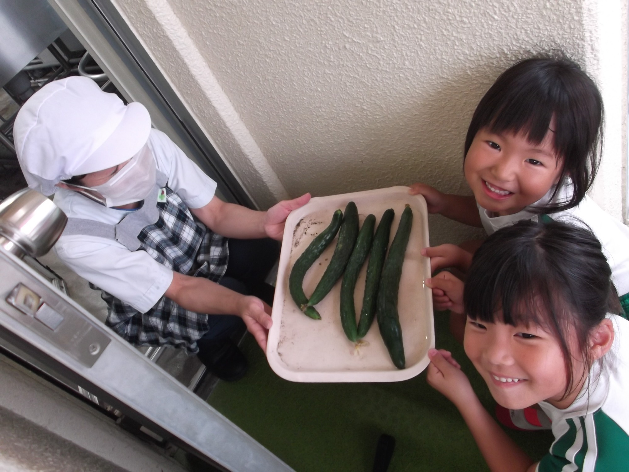 給食